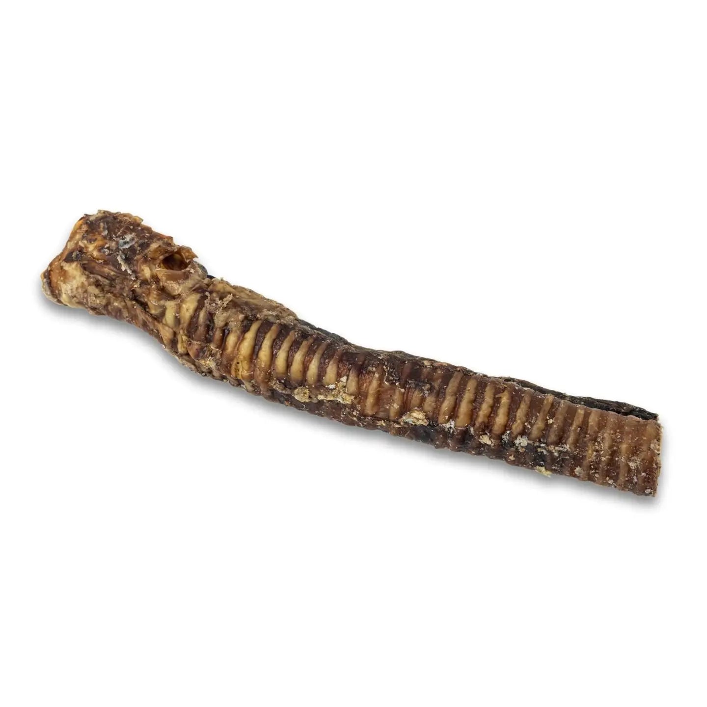 12" Beef Trachea